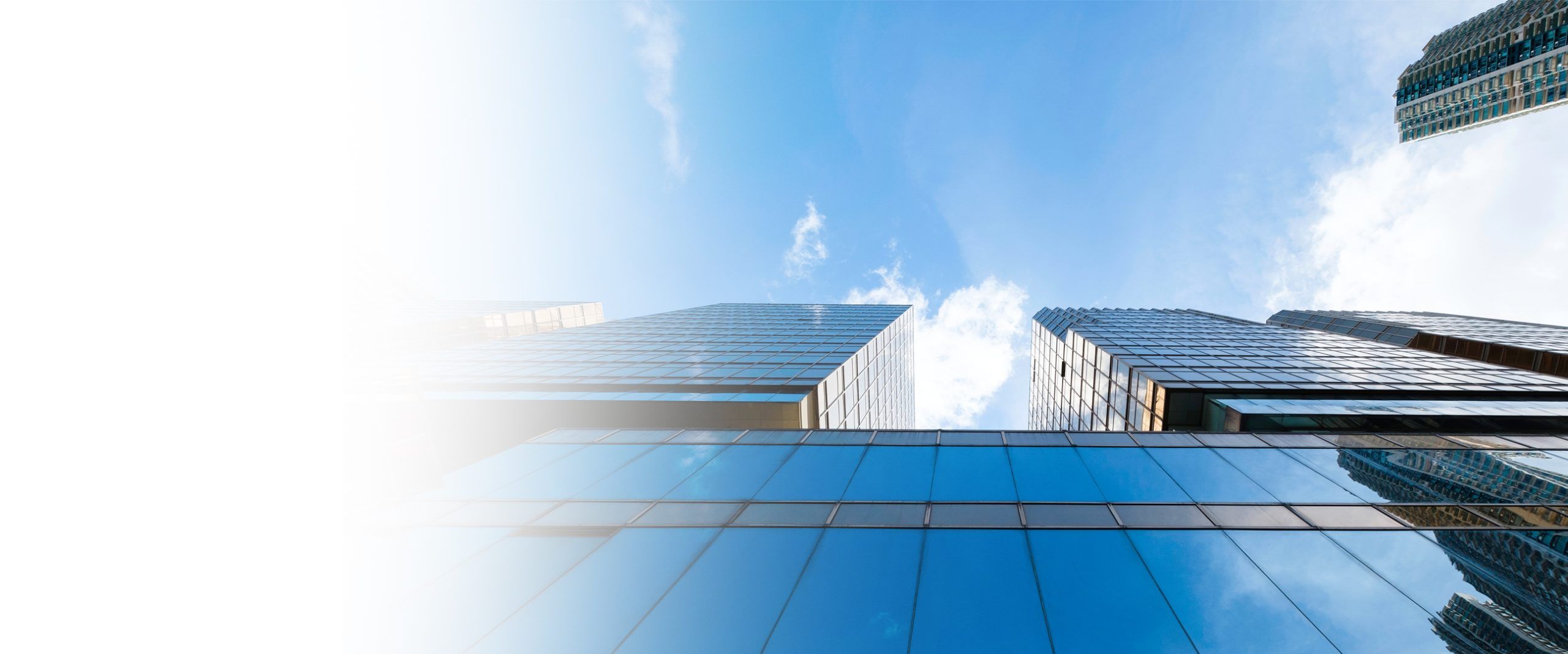 About WealthBridge Business Group named: WealthBridge Asset Management Limited